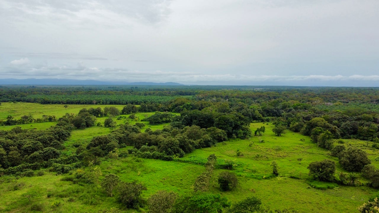 Tawal Lots for Sale – Prime Commercial & Residential Opportunity