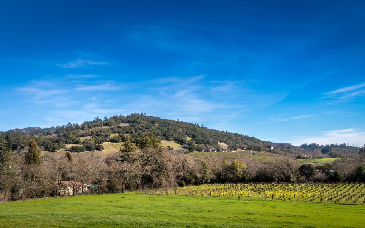 Los Alamos