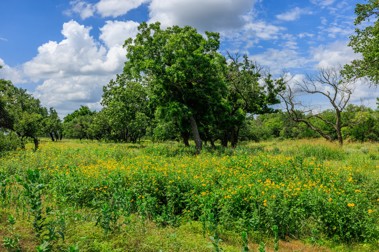 Live Oak Creek Ranch 