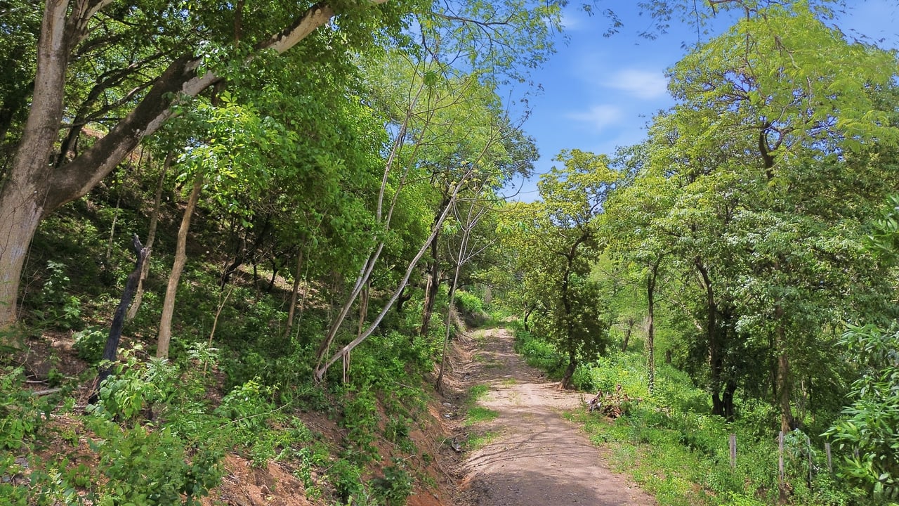 Development Parcel - Valley views - Matapalo