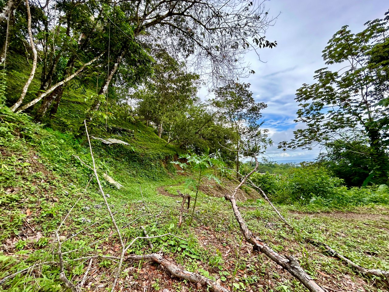 Ocean View Property in Playa Hermosa - Over 1 Acre