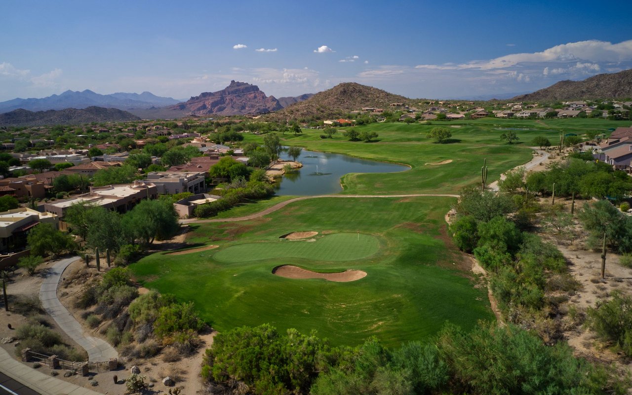 Silverleaf