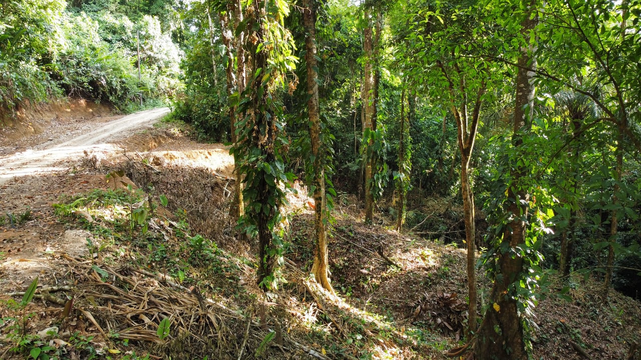 Unique property with terraces and spectacular views near Manuel Antonio National Park