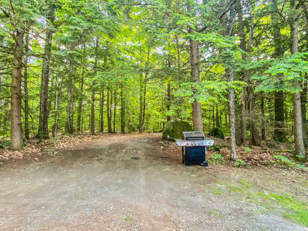 Rental Currently Available