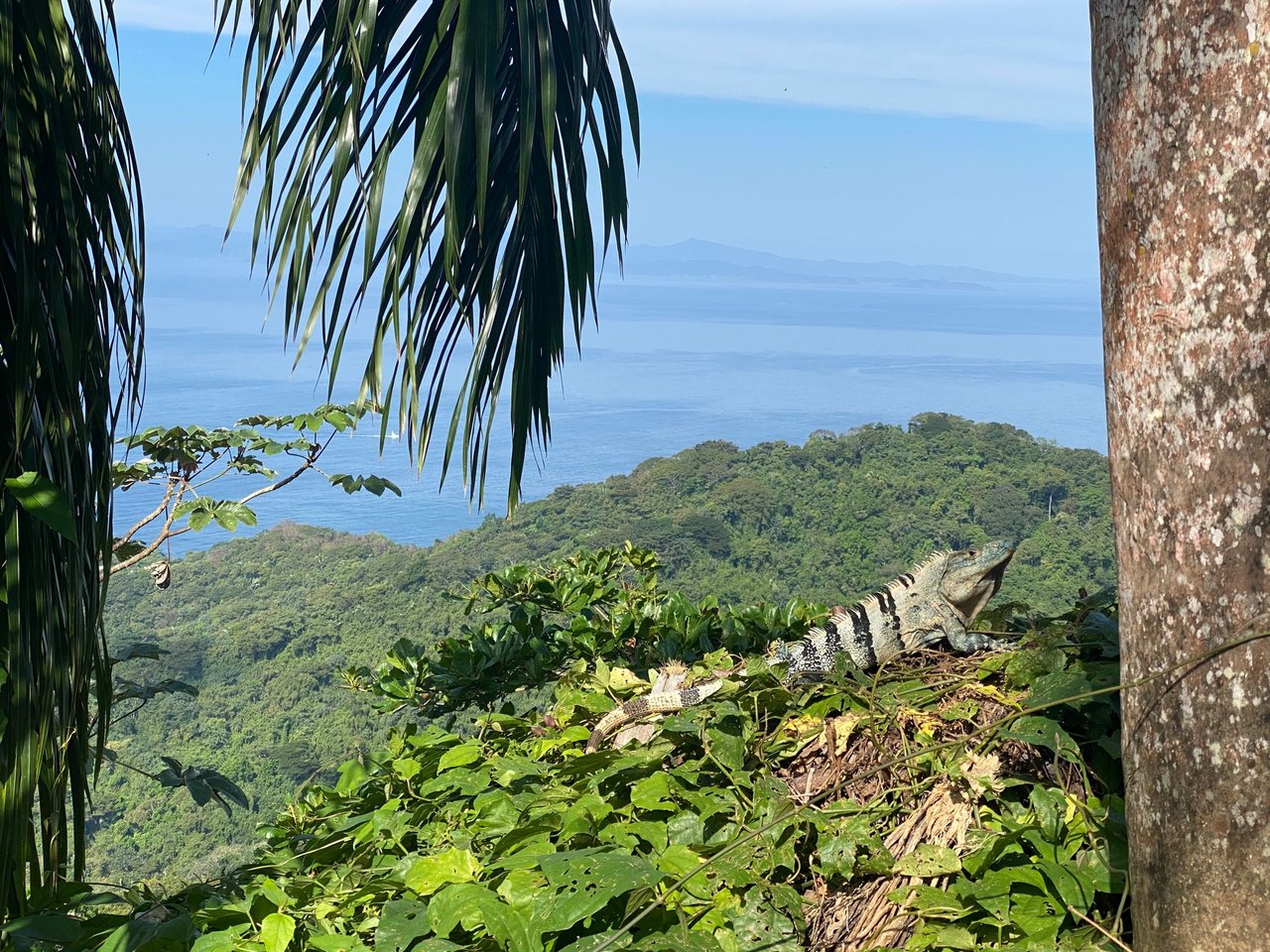 Beauty Villa- Ocean View in Uvita