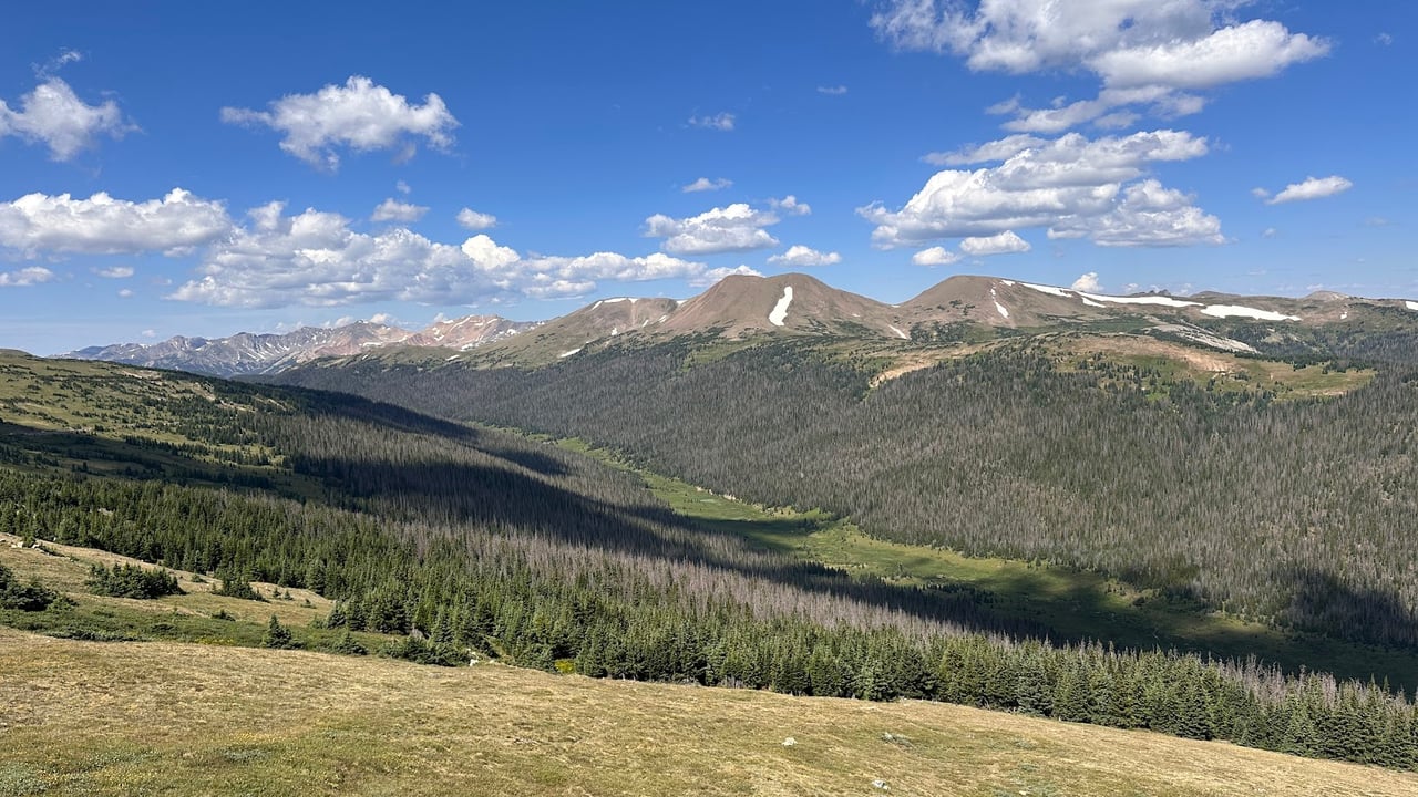 Driving Into the Wild: A Sensory Journey Along Old Fall River Road