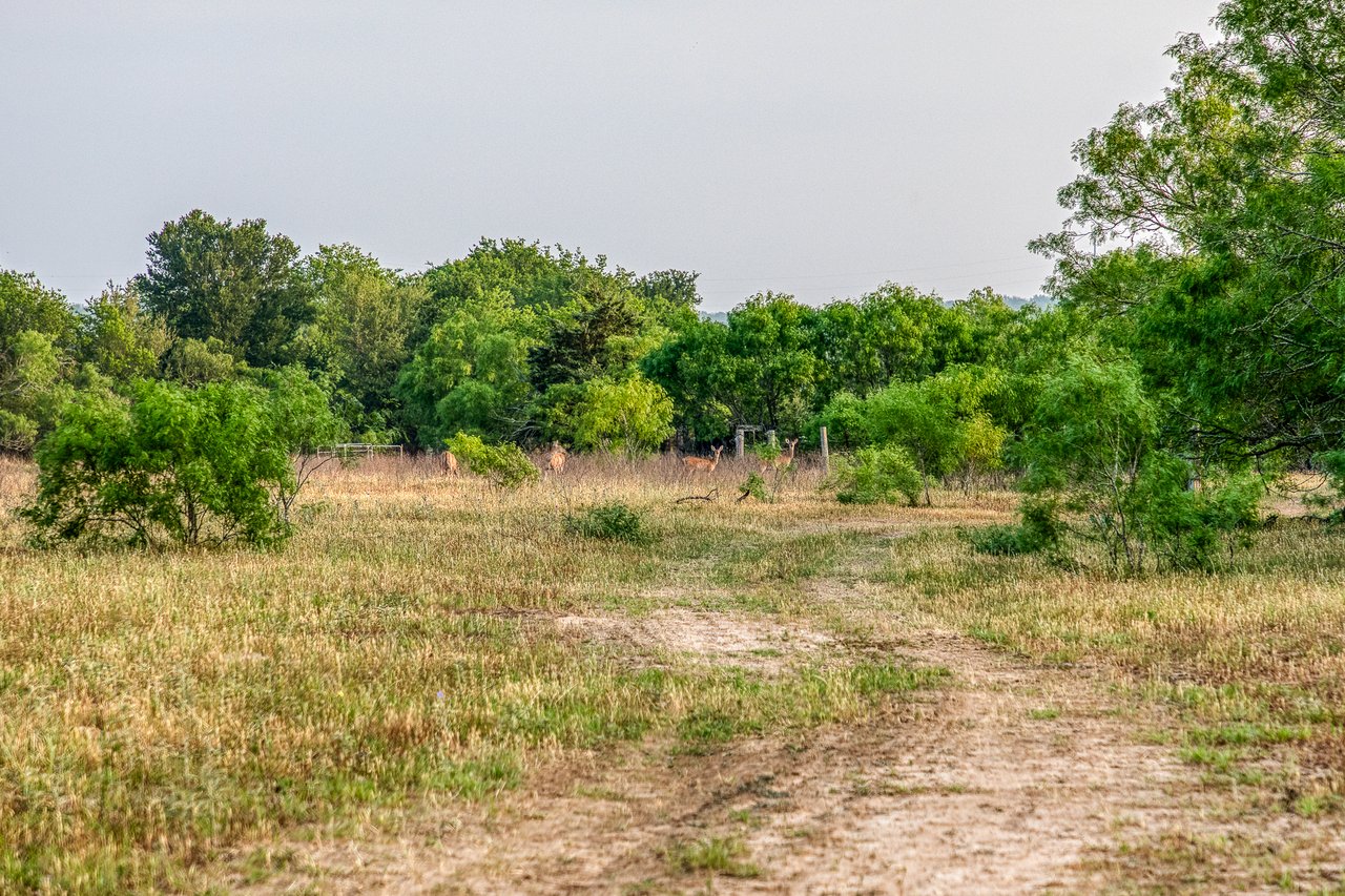 Revival Ranch TX