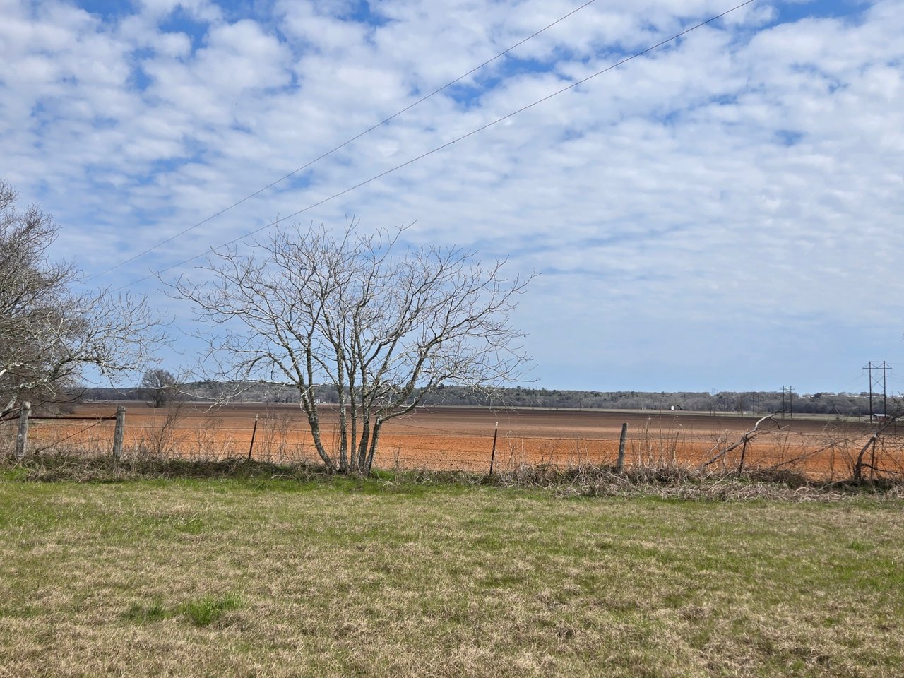 +/- 90 Acre Colorado Riverfront Ranch Coming Soon!