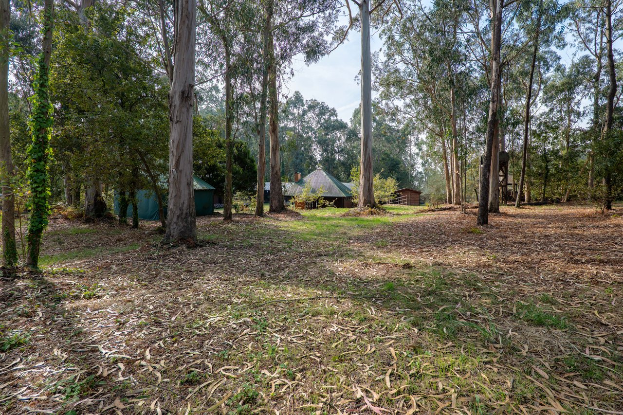 Equestrian Estate in Lavra with 13,000 m² just 800 Meters from the Beach