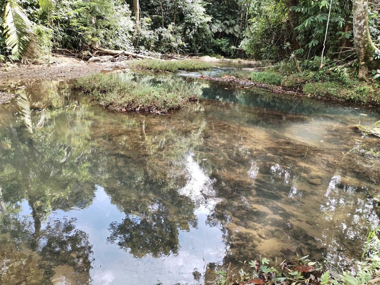 Villa Shanti: Luxurious 3-Bedroom Jungle Home in Ojochal, Costa Rica