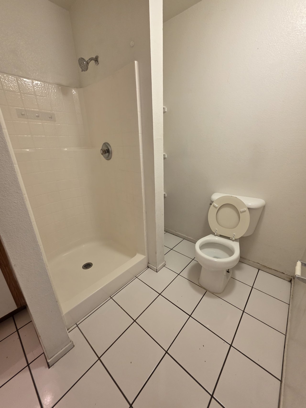 3849 Soda Springs Drive - 1