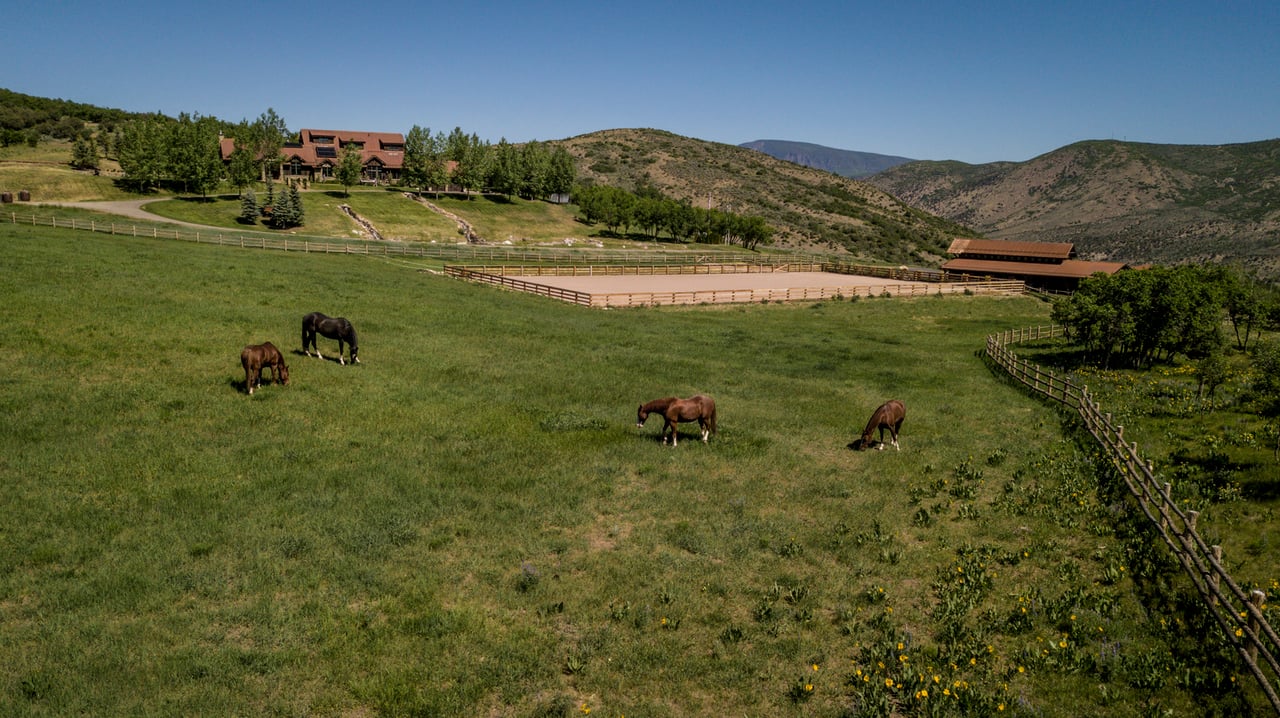 Farms & Ranches 