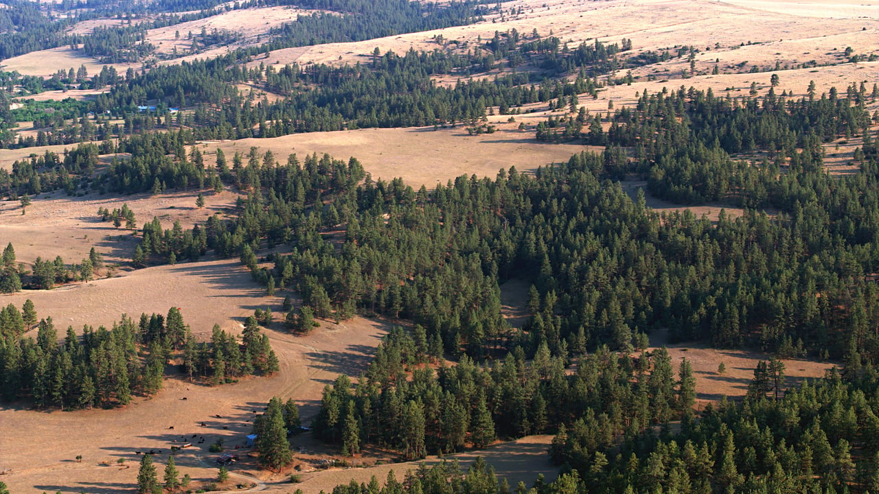 Stillwater County Ranch - Represented Buyers