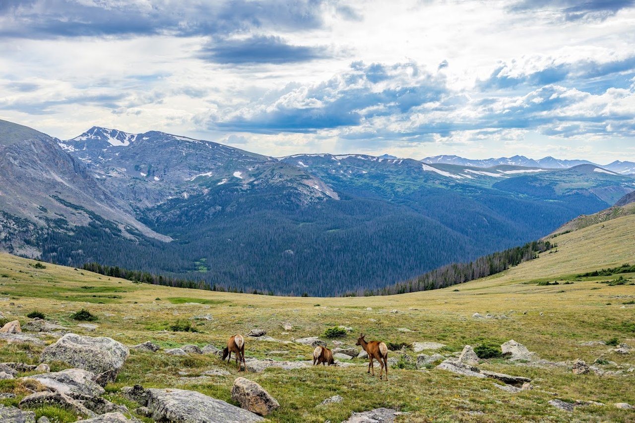 Where the Road Meets the Sky: Driving Trail Ridge Road