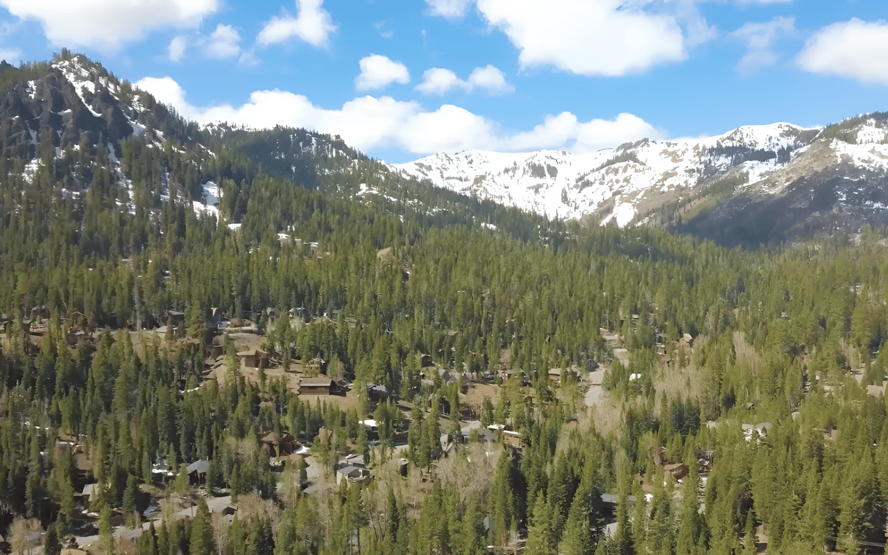Aerial view of Alpine Meadows homes among pine forest beneath snow-covered mountain peaks.