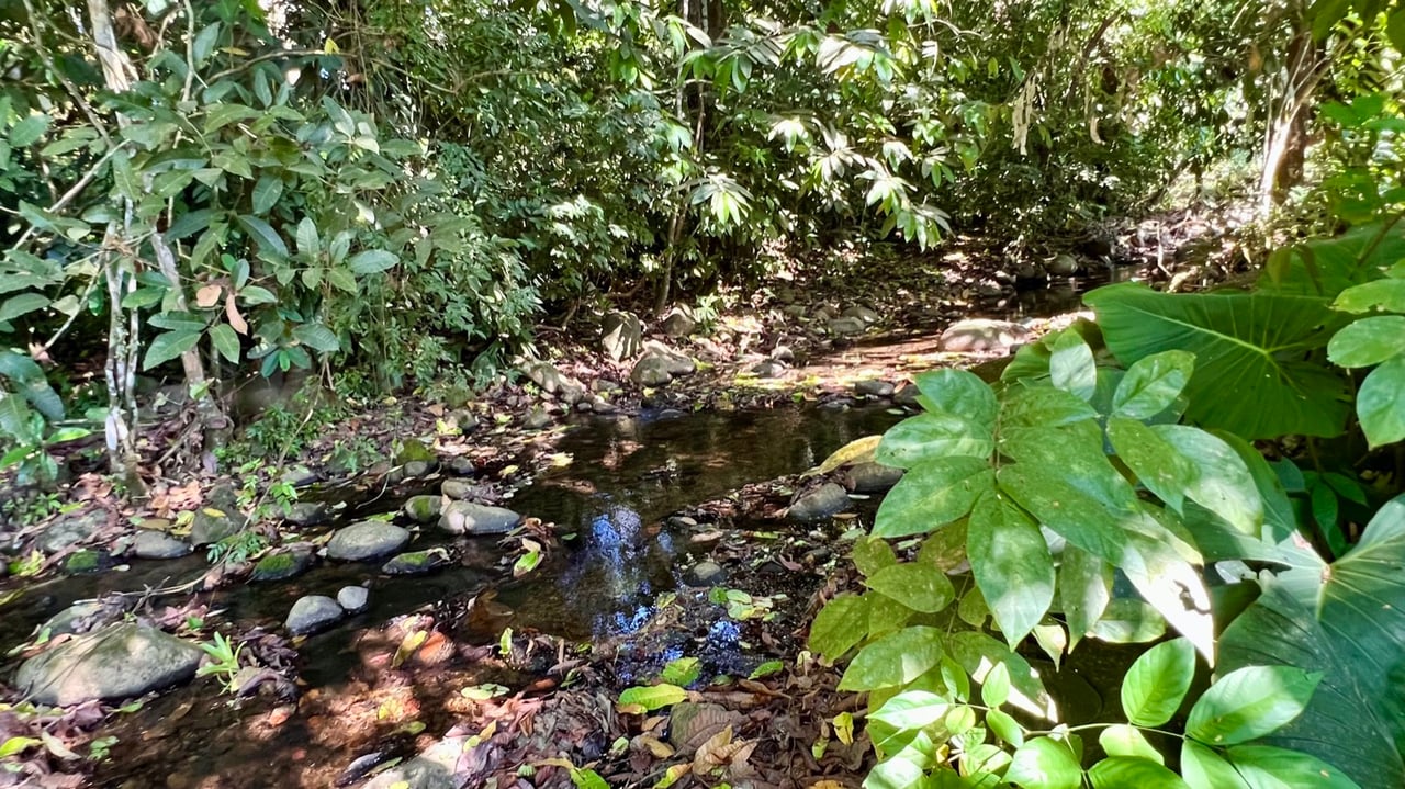Tropical 2-Bedroom Riverfront Gem in Ojochal