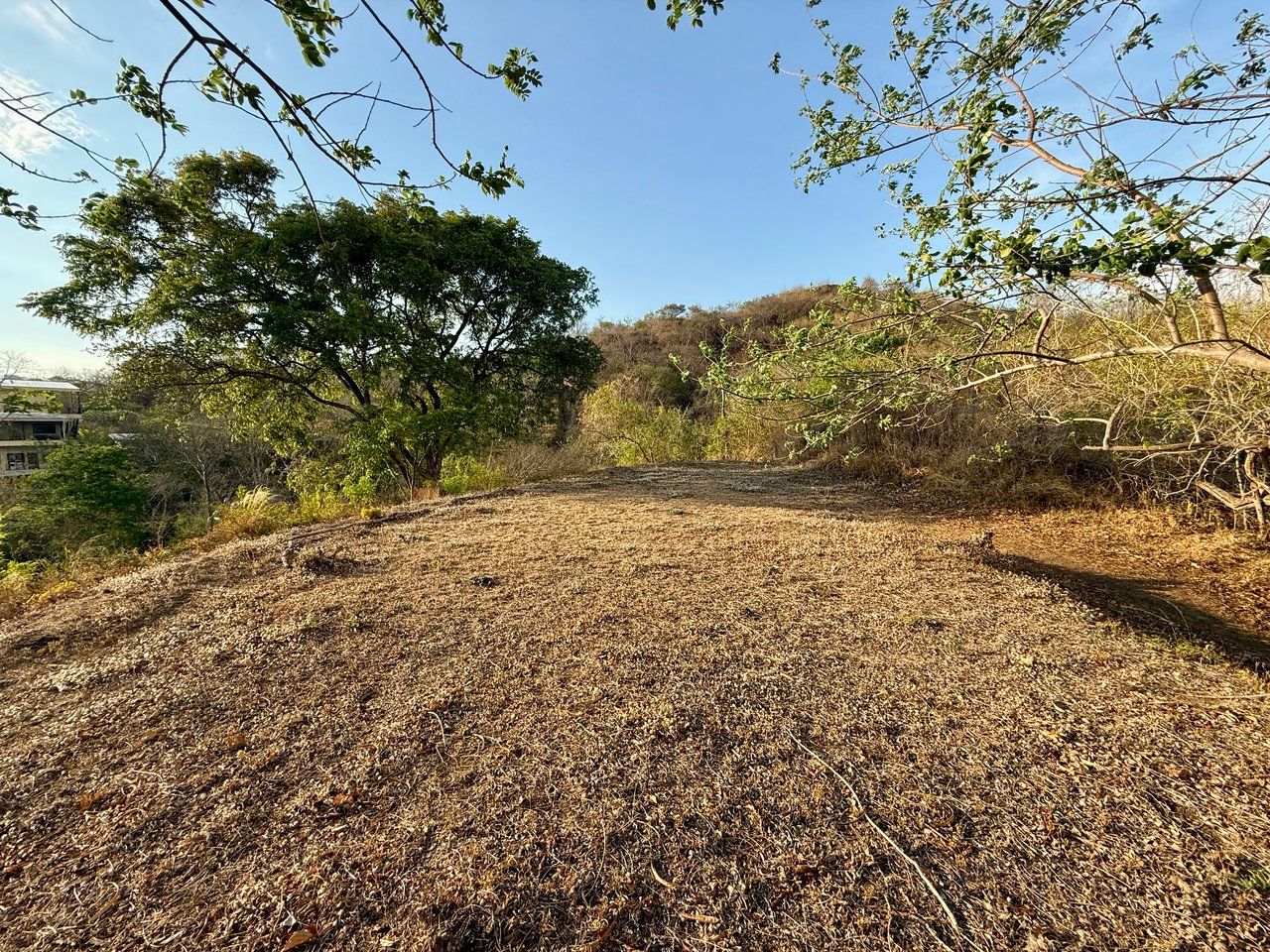 Lot 59 – La Marcela | Tranquil Jungle Ocean View Homesite in Potrero