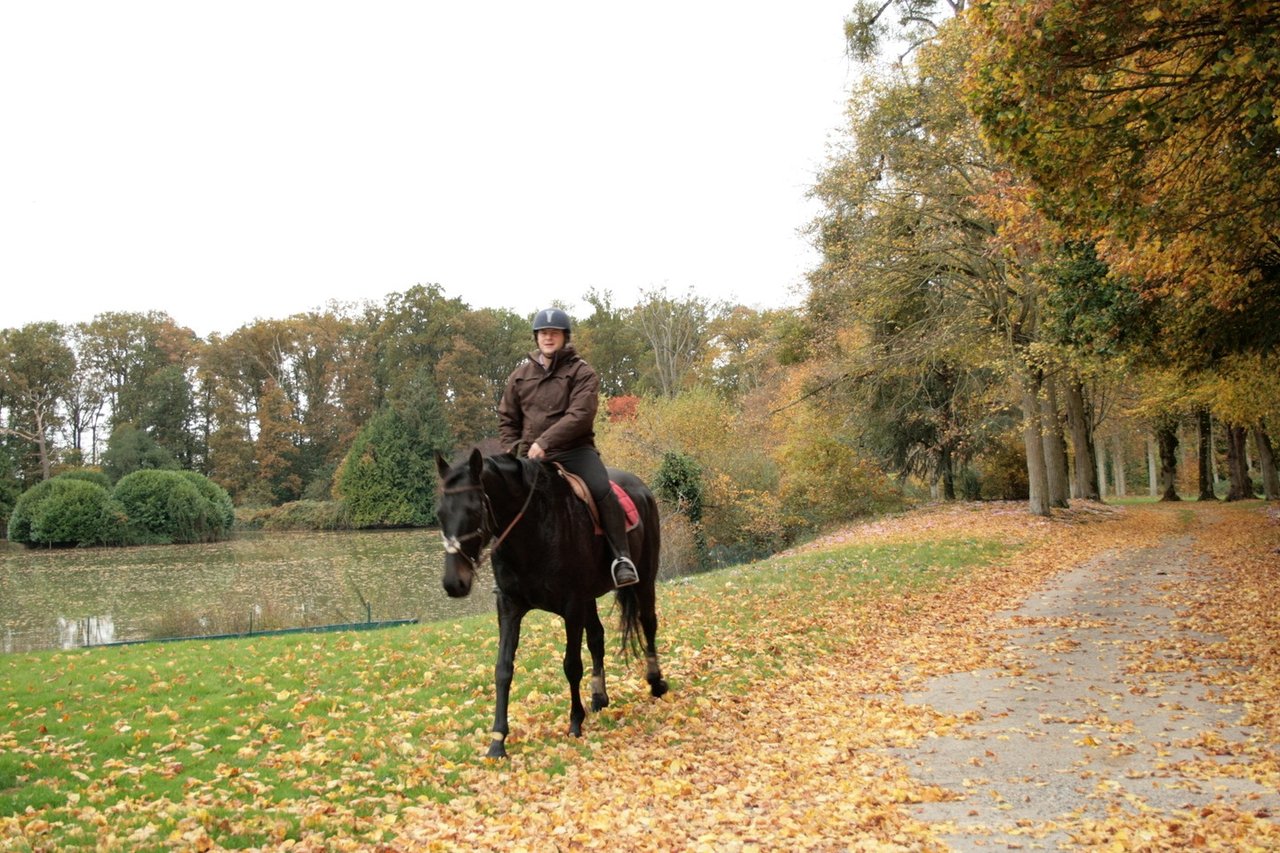 19th Century Fairytale Chateau in Loire Valley