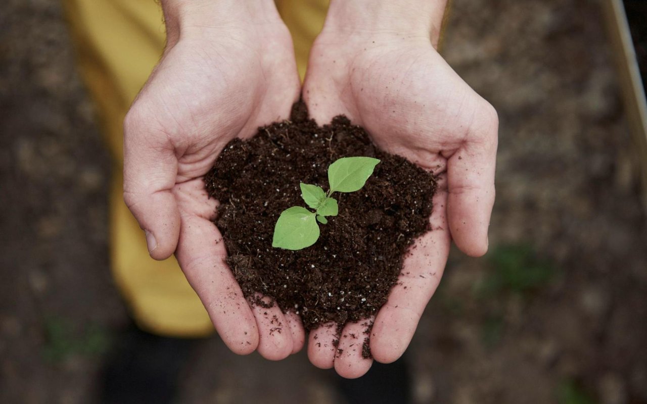 A Beginner’s Guide to Starting a Garden at Home