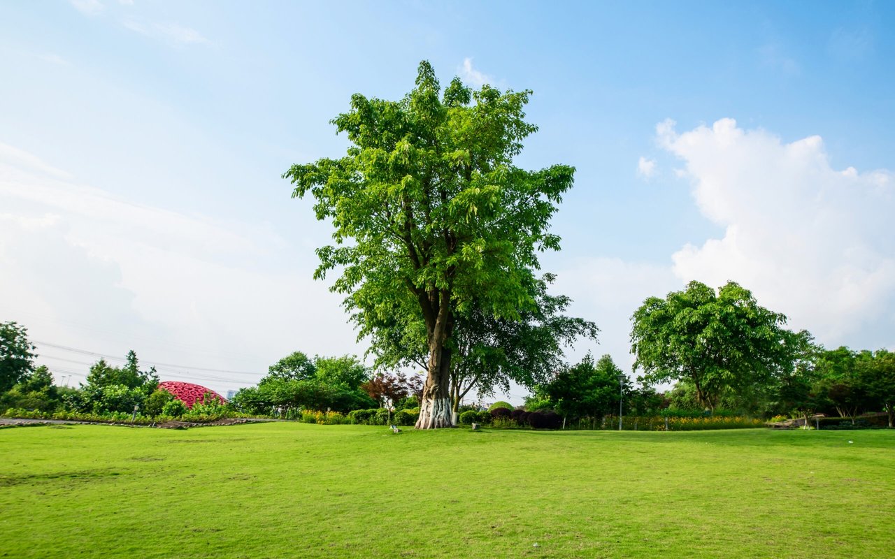 The Role of Location in Real Estate Value