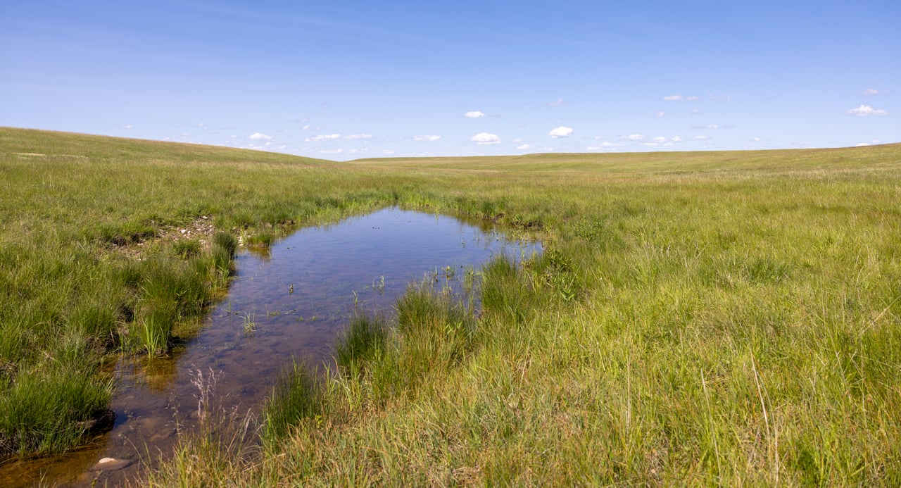 Hauck Coulee Ranch