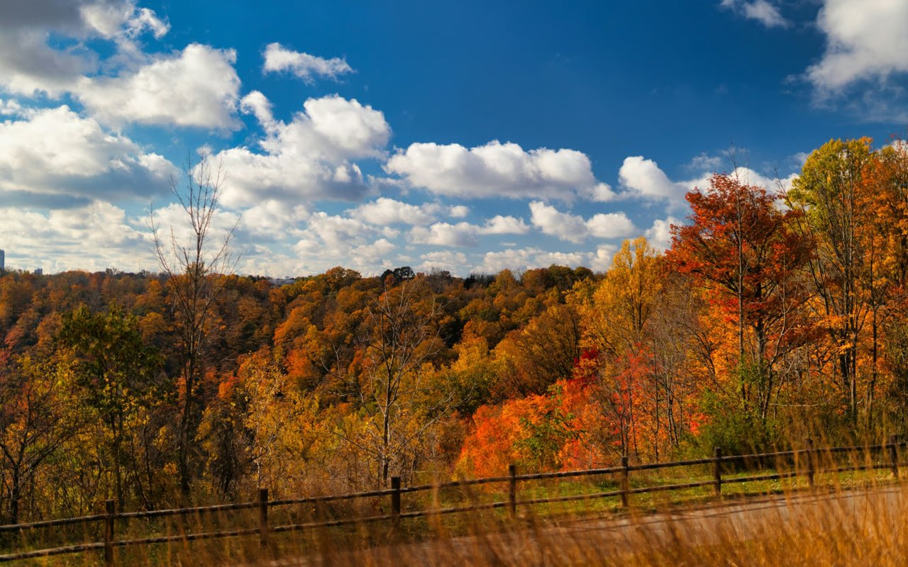 Chestnut Ridge