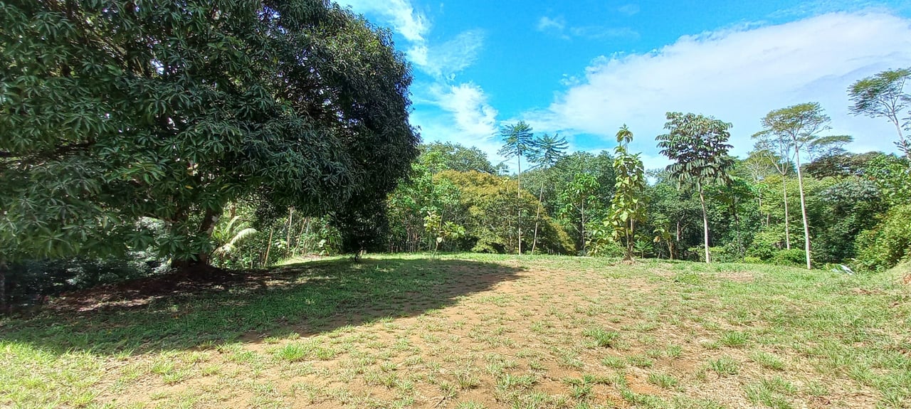 Luxury Rainforest Home + Guest House on 11 acres