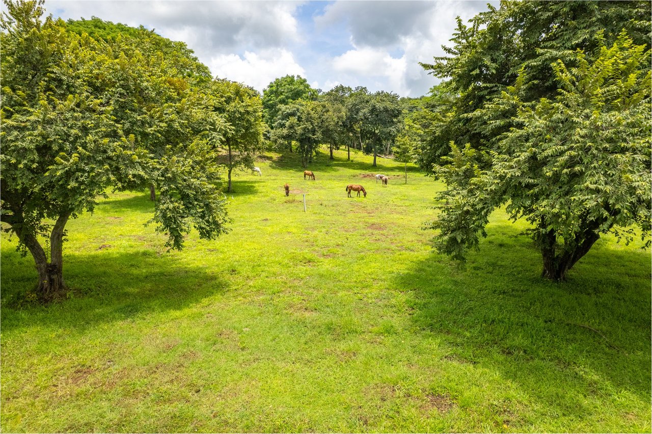 Exclusive Land Surrounded by Nature, Tamarindo, Guanacaste