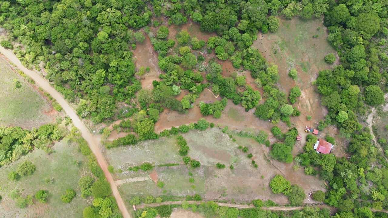 3.4 Acres of Quiet Country Living | 12 minutes from the Beach - Tempate 