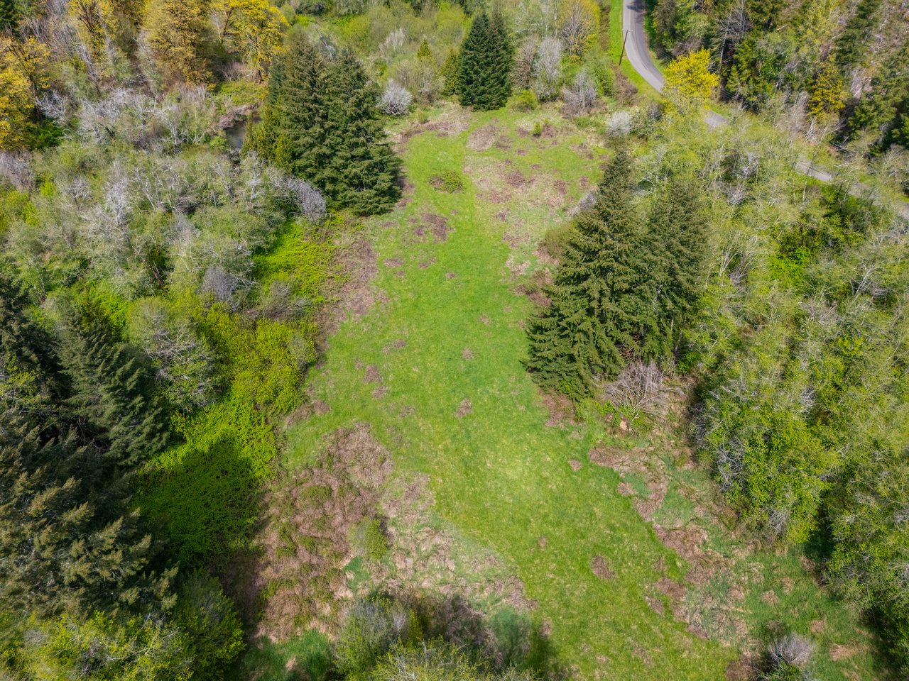 Nelson Mountain Meadows