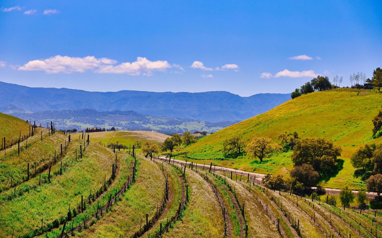 Santa Ynez