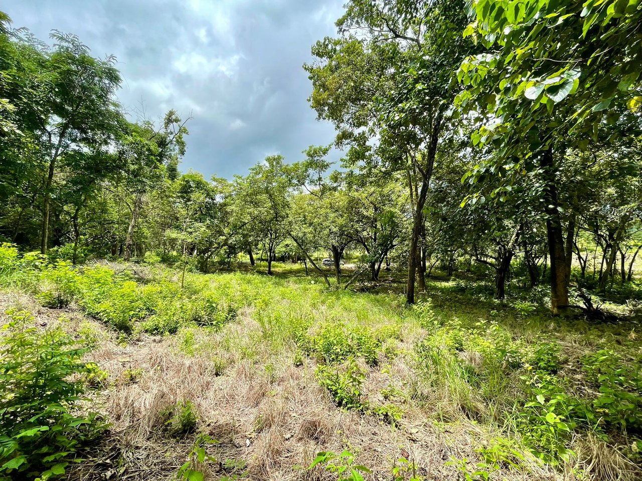 Salanitas Lot | Build Your Dream Home Near Playa Grande