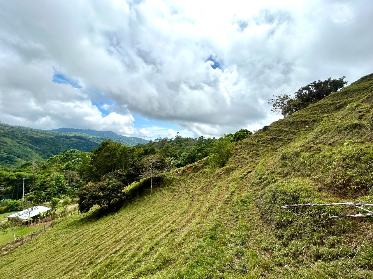Gorgeous Land in San Luis Morete - Uvita - Over 17 Acres