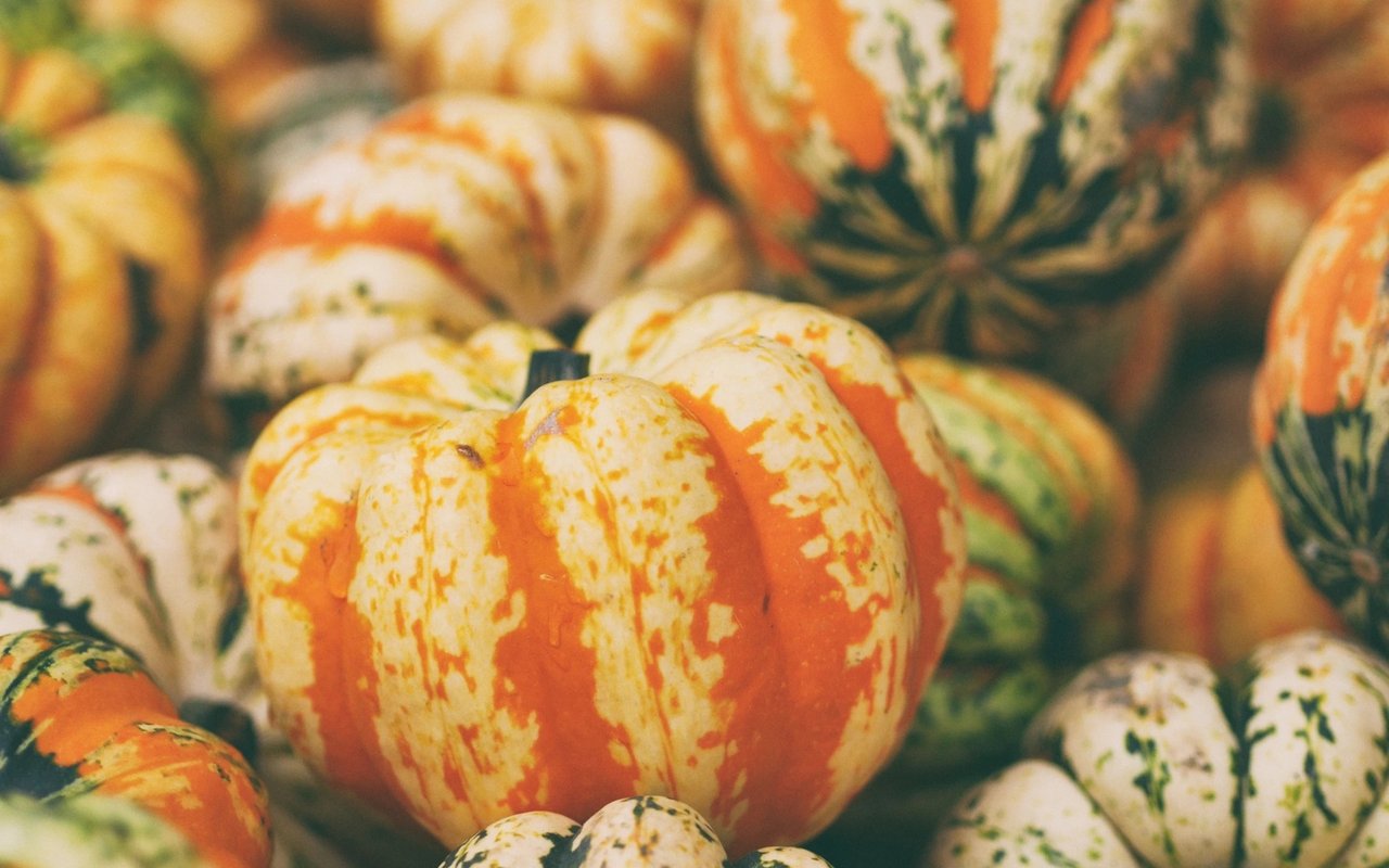 Maple Roasted Acorn Squash