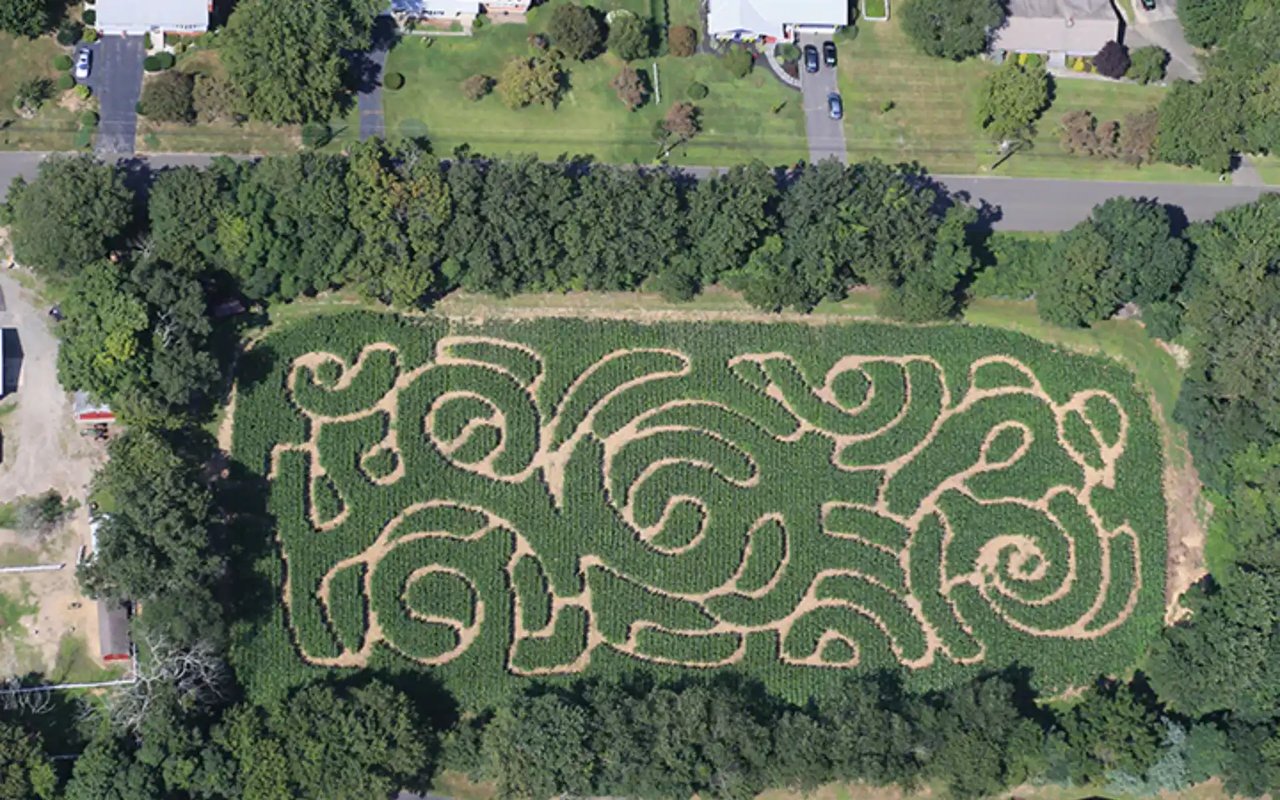 Neighborhood Feature: Daniels Farm