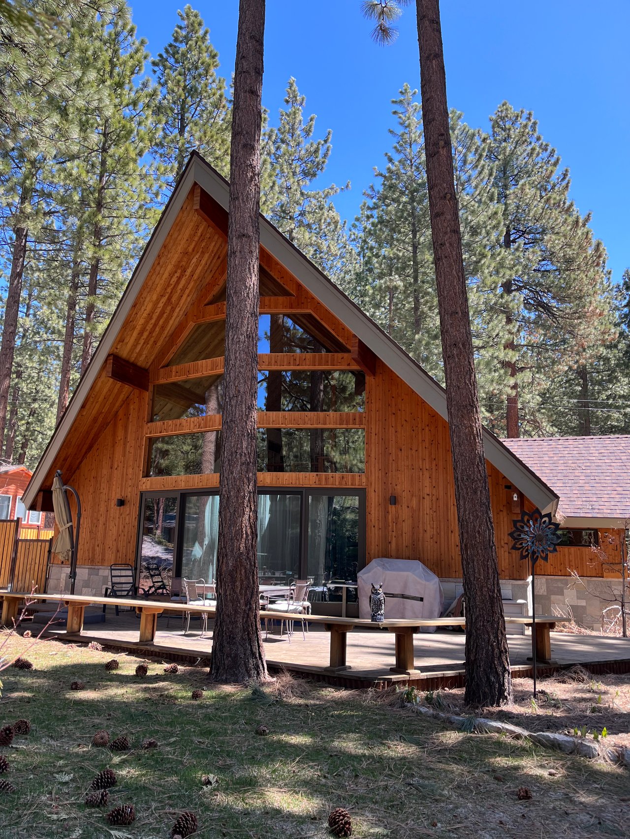 301 Cedar Dr