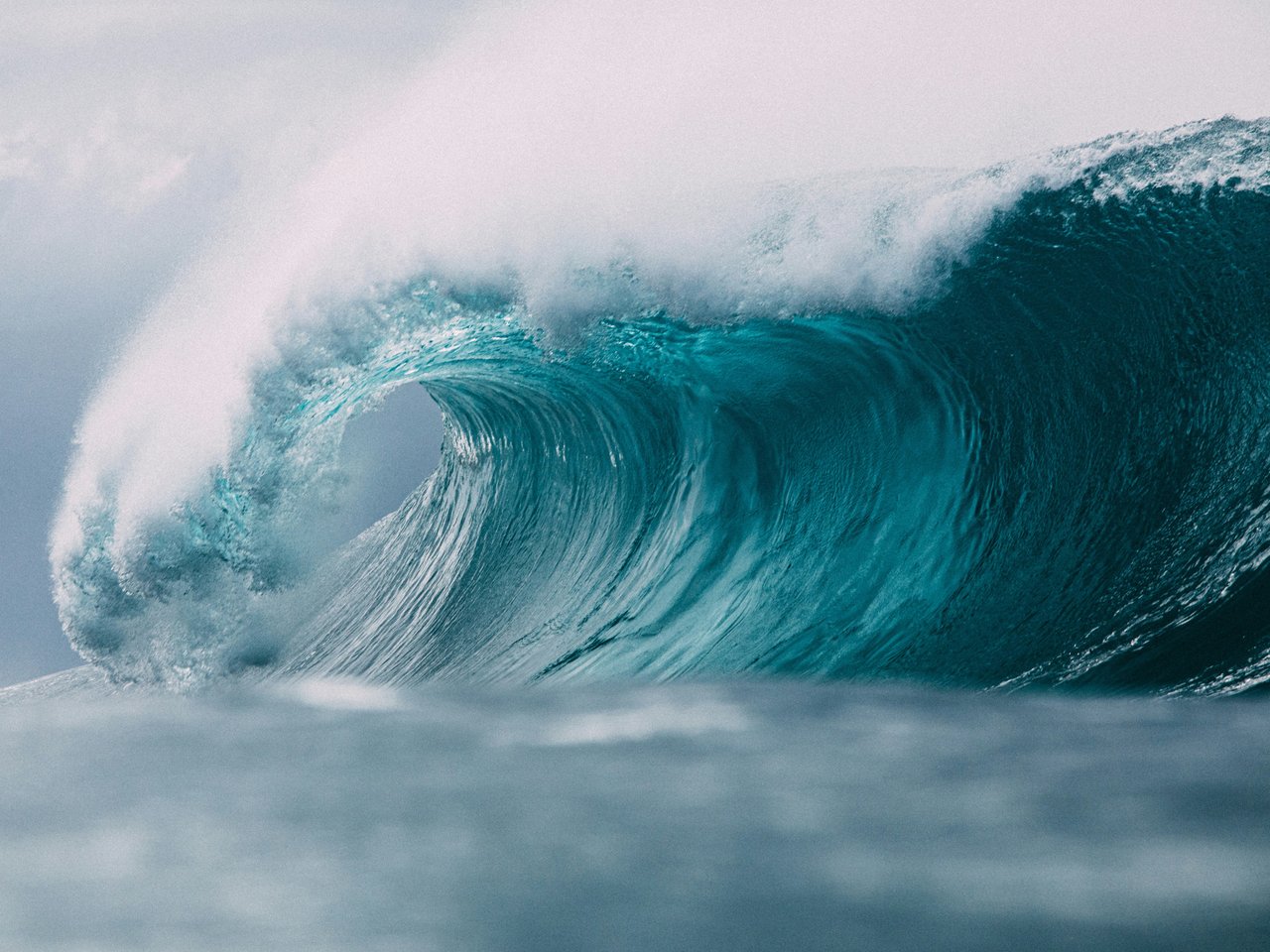 Turquoise ocean wave curling into a barrel beneath a crest of white spray.