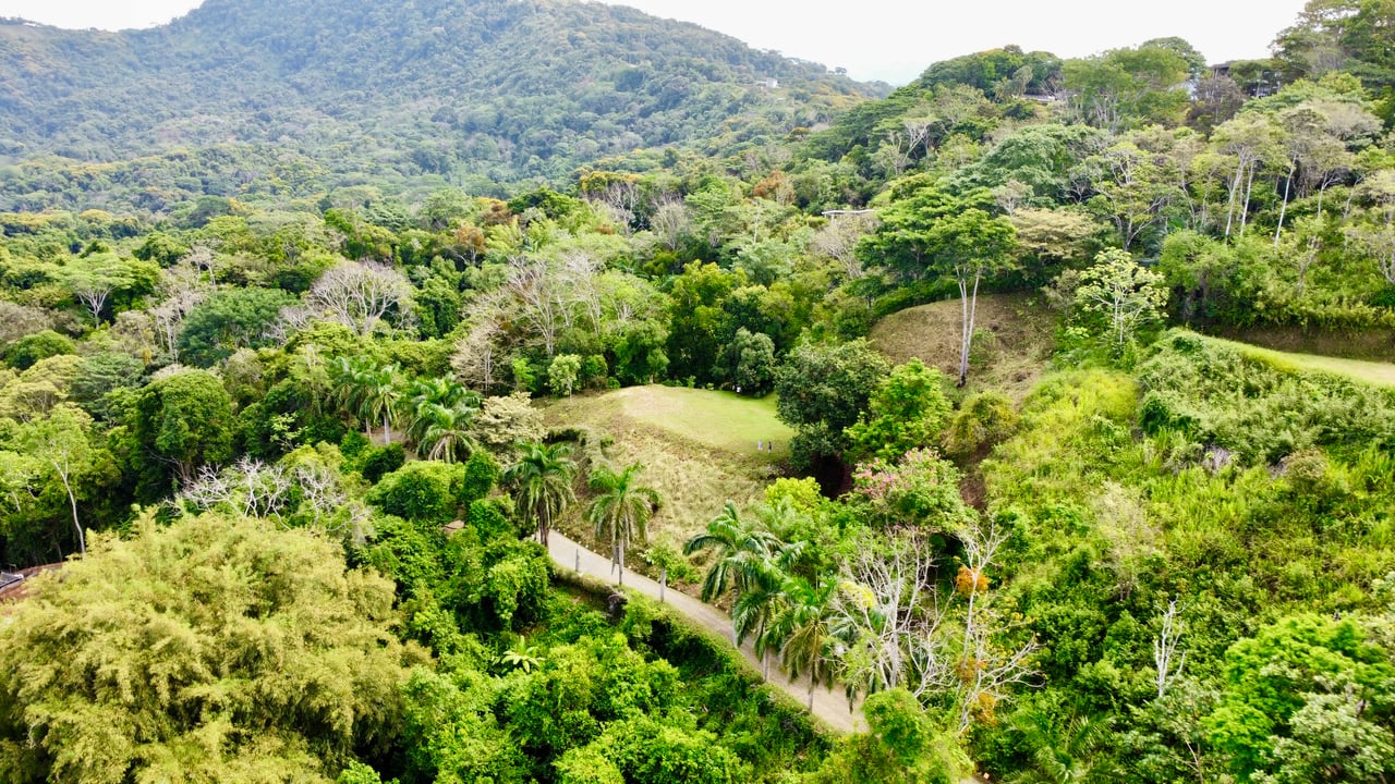 3.6 Acre Ocean View, Near the Beach & Cool Mountain Elevation