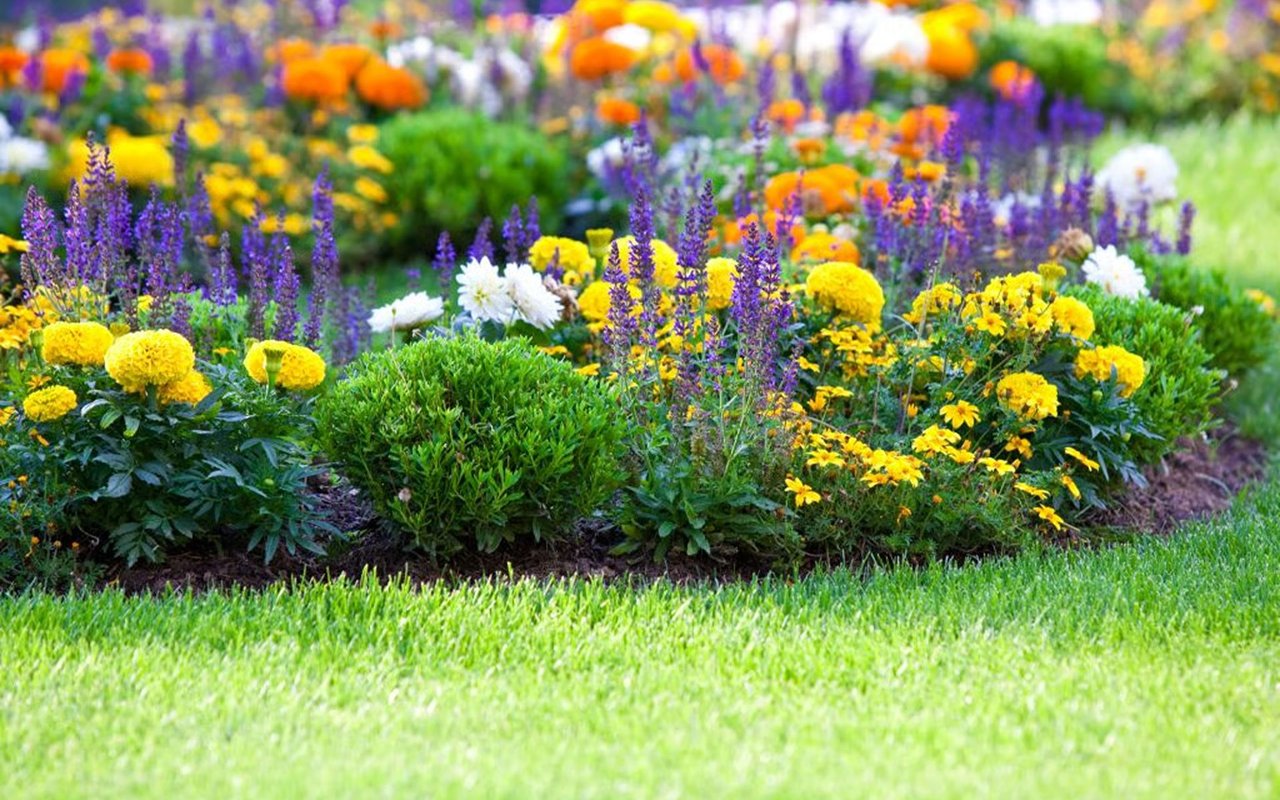 6 Things to Plant in April to Enhance Your Property’s Value