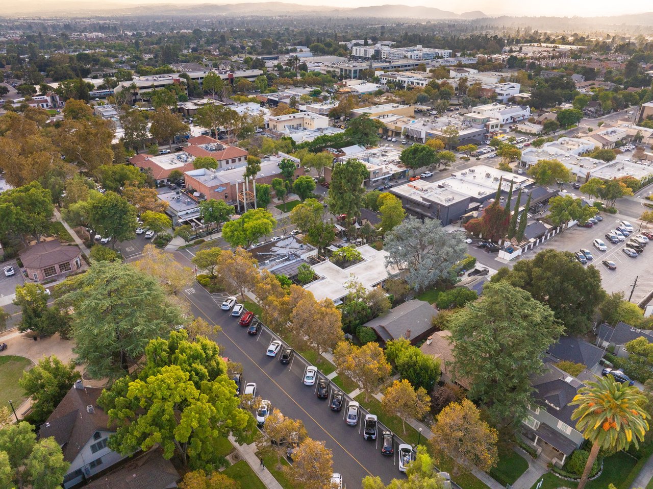 Top Restaurants That Define the Claremont Food Scene