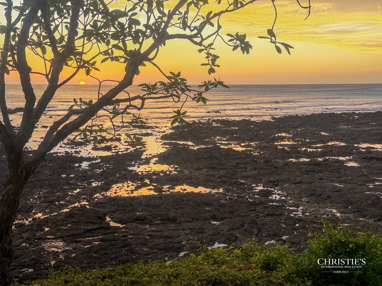 Casa La Tierra y El Mar | Rare Titled Oceanfront Property  