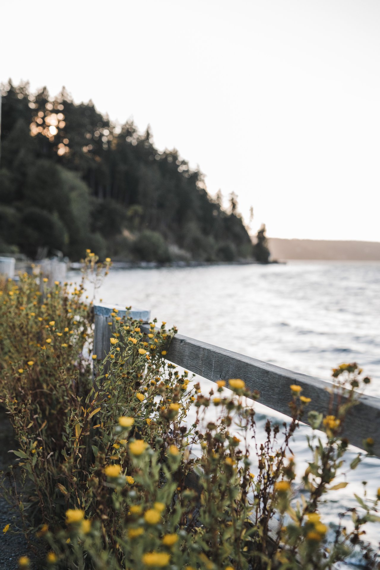 Plan A Locals-Style Weekend On Whidbey Island