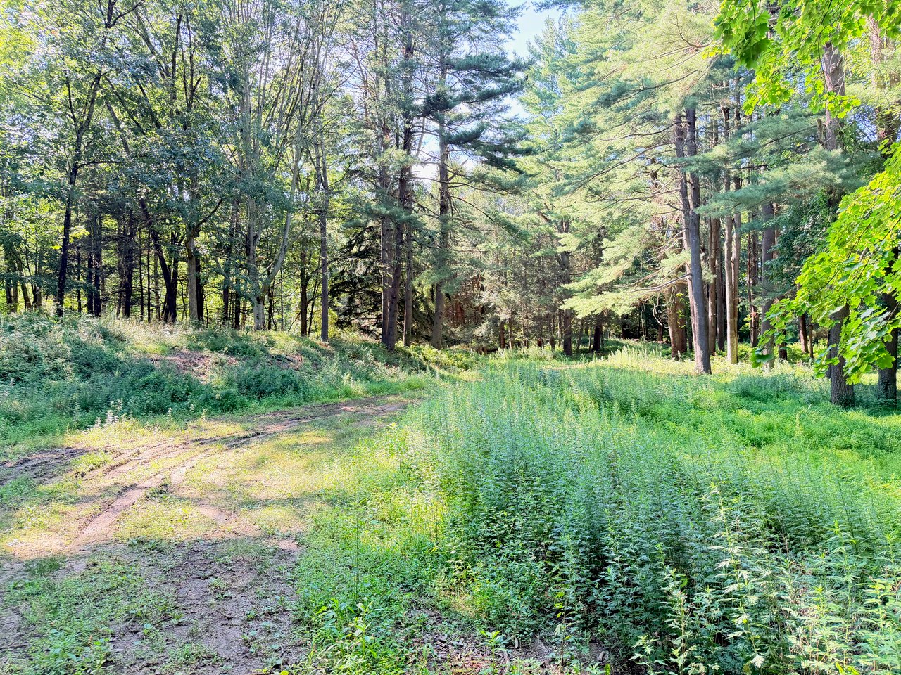340 Haines Road
