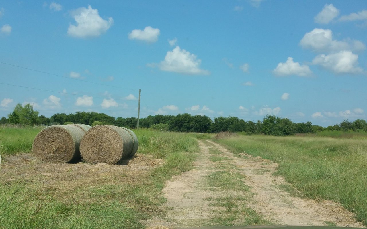 Needville