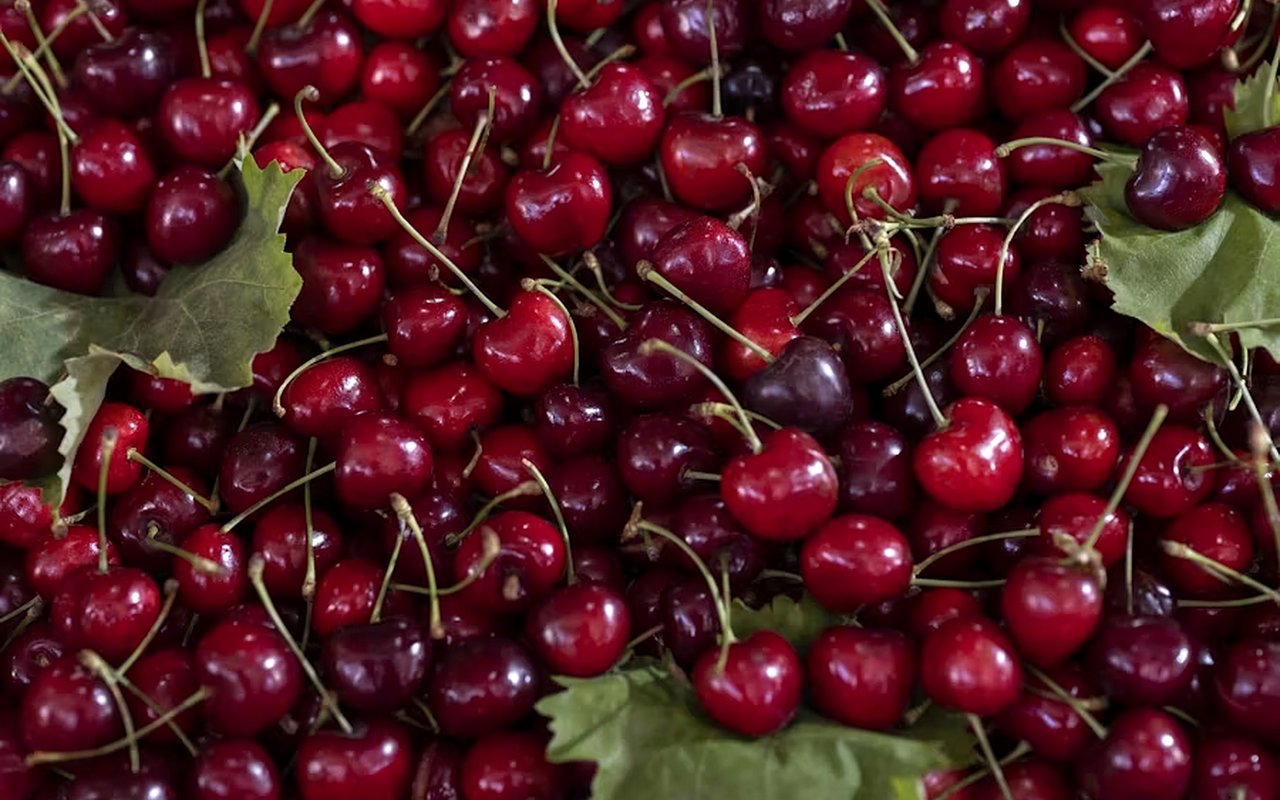 Best Farmers Markets in Bigfork, MT