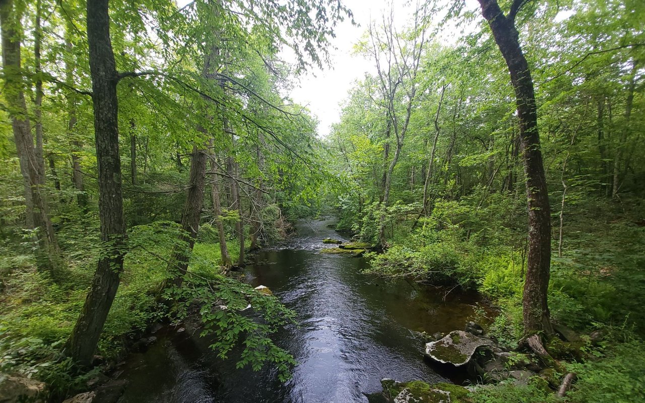 Saw Creek Estates