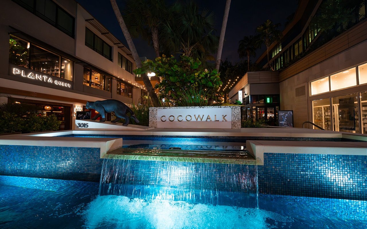 The Well - Coconut Grove