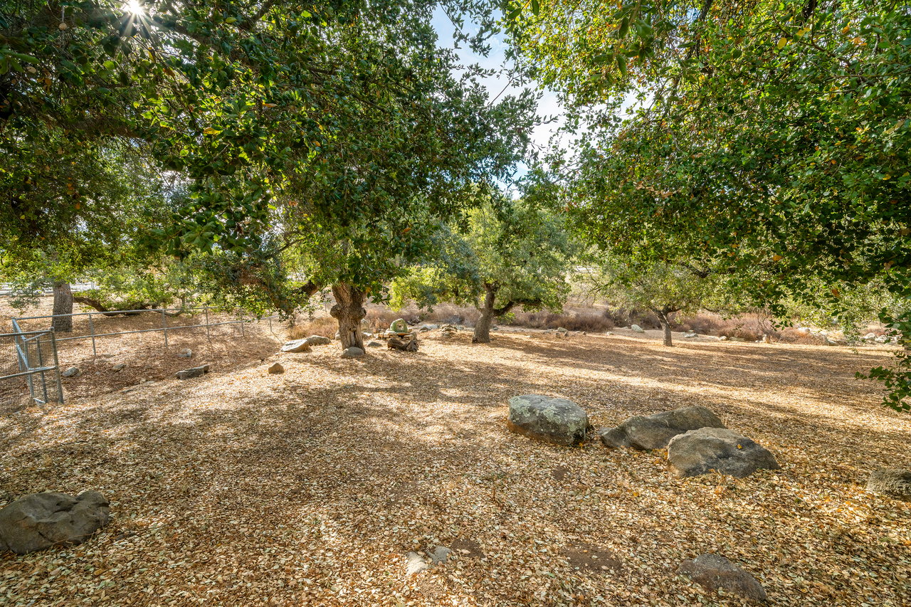 17520 Equestre Court