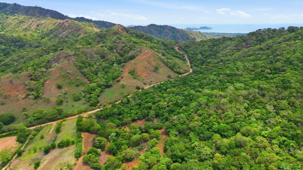 3.4 Acres of Quiet Country Living | 12 minutes from the Beach - Tempate 