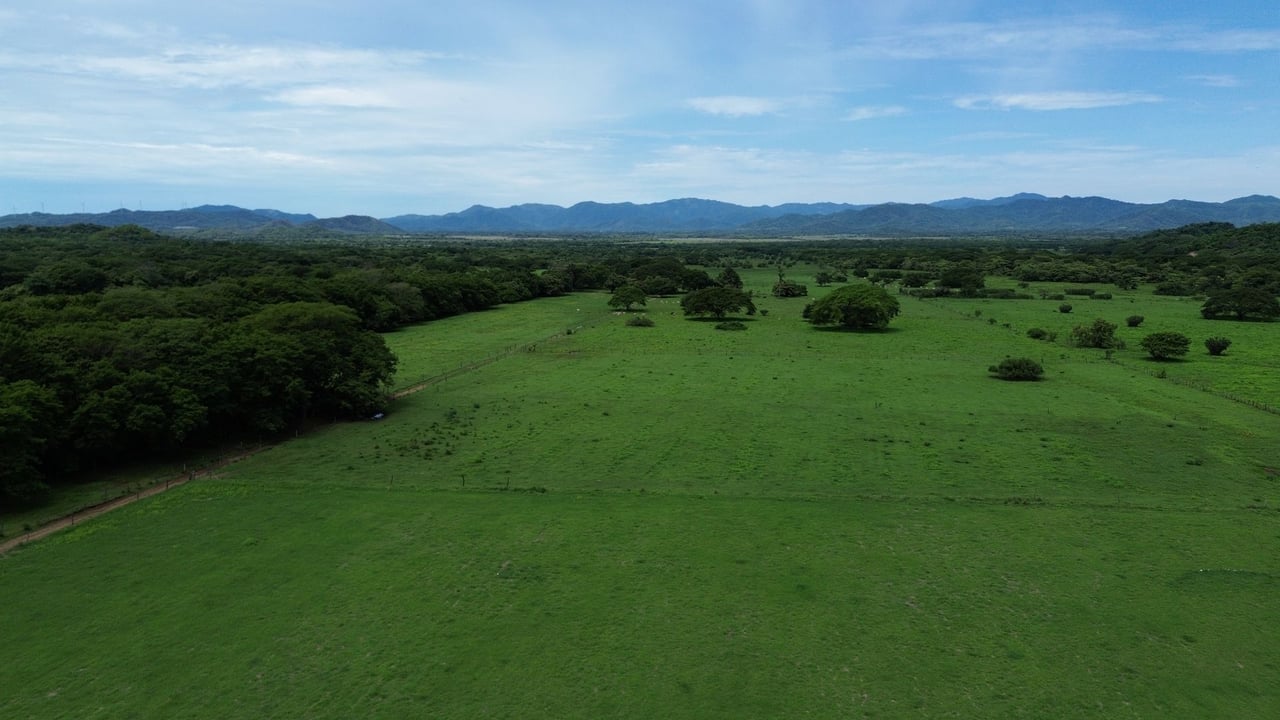 Prime 444-Acre Investment Opportunity 